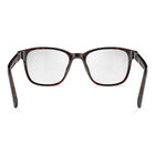 JASP 02, Havana Shiny-No Lens Reference, hi-res image number null